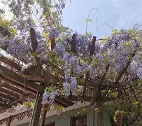 包含HV[橆%У摟?A氡?寻?I炤〡〣蹉怆??OI筡踕%hq1A;r隨l癜W1溝鴯?詷ぁwX?鈱q飾K湴的词条-开云电竞